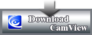 Remote-Viewing-download-software